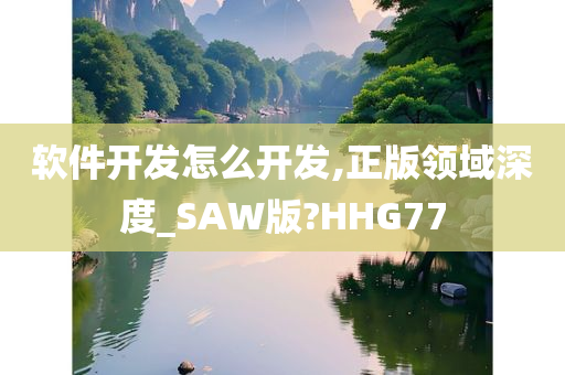 软件开发怎么开发,正版领域深度_SAW版?HHG77