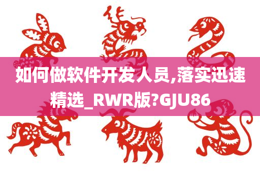 如何做软件开发人员,落实迅速精选_RWR版?GJU86