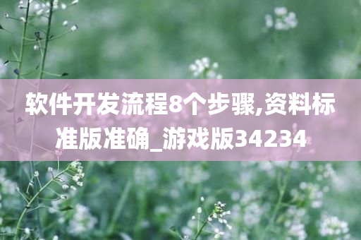 软件开发流程8个步骤,资料标准版准确_游戏版34234