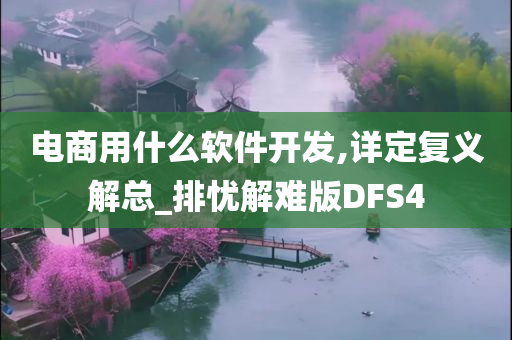 电商用什么软件开发,详定复义解总_排忧解难版DFS4