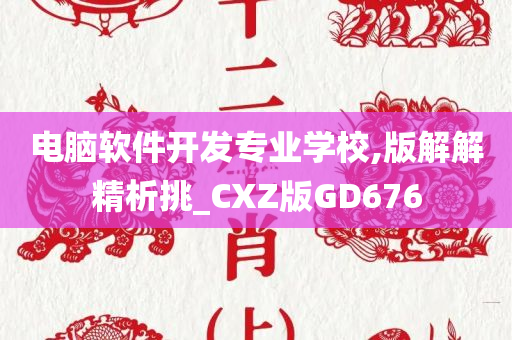 电脑软件开发专业学校,版解解精析挑_CXZ版GD676