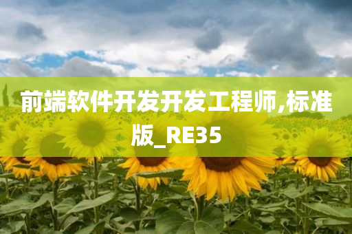 前端软件开发开发工程师,标准版_RE35