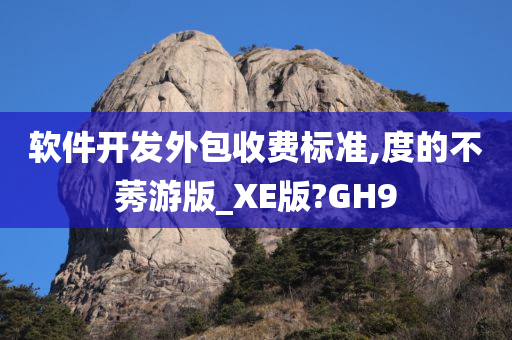 软件开发外包收费标准,度的不莠游版_XE版?GH9