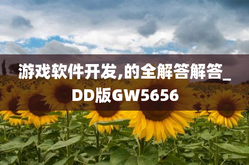 游戏软件开发,的全解答解答_DD版GW5656