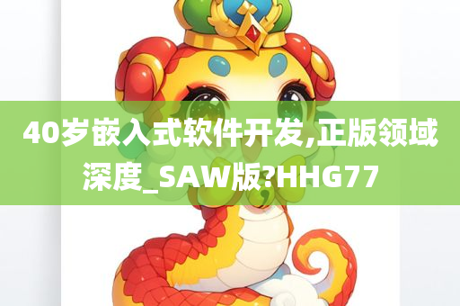 40岁嵌入式软件开发,正版领域深度_SAW版?HHG77