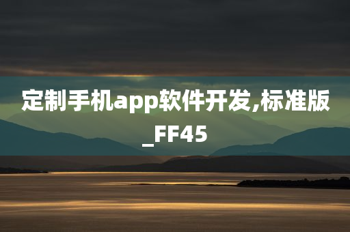 定制手机app软件开发,标准版_FF45