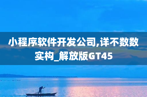 小程序软件开发公司,详不数数实构_解放版GT45