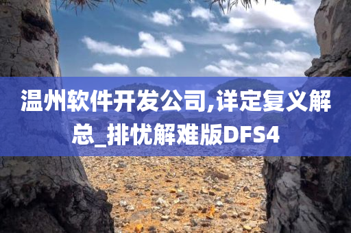 温州软件开发公司,详定复义解总_排忧解难版DFS4