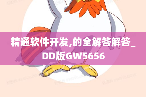 精通软件开发,的全解答解答_DD版GW5656