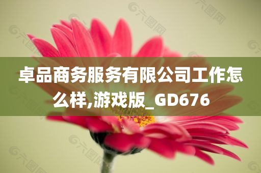 卓品商务服务有限公司工作怎么样,游戏版_GD676