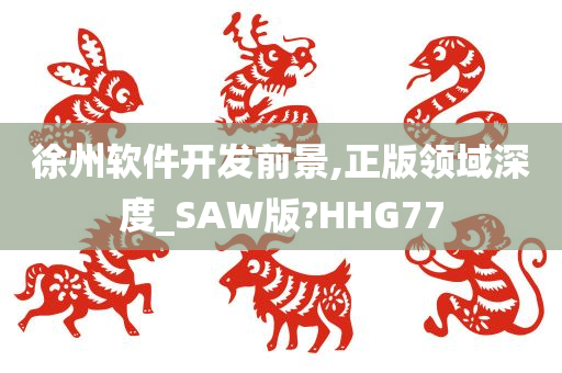 徐州软件开发前景,正版领域深度_SAW版?HHG77