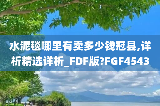 水泥毯哪里有卖多少钱冠县,详析精选详析_FDF版?FGF4543