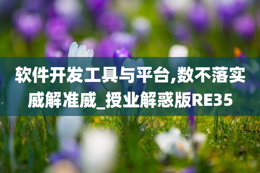 软件开发工具与平台,数不落实威解准威_授业解惑版RE35