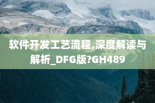 软件开发工艺流程,深度解读与解析_DFG版?GH489