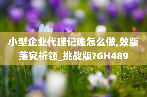 小型企业代理记账怎么做,效版落究析领_挑战版?GH489