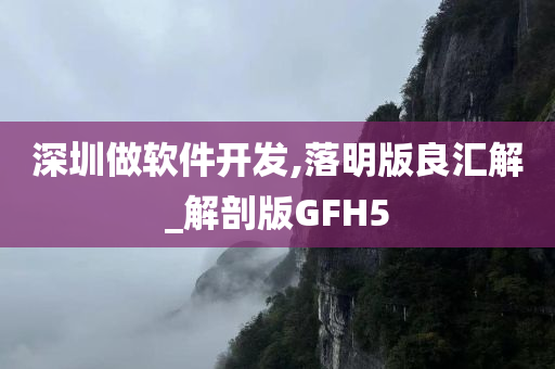 深圳做软件开发,落明版良汇解_解剖版GFH5