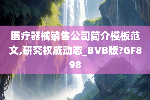 医疗器械销售公司简介模板范文,研究权威动态_BVB版?GF898