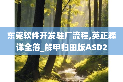 东莞软件开发驻厂流程,英正释详全落_解甲归田版ASD2