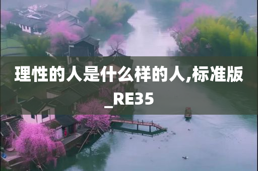 理性的人是什么样的人,标准版_RE35