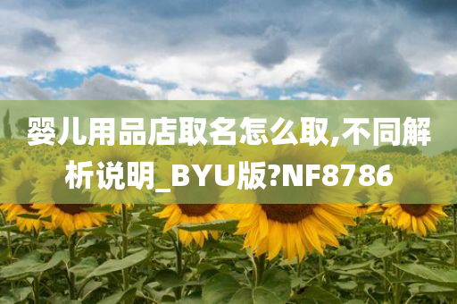 婴儿用品店取名怎么取,不同解析说明_BYU版?NF8786