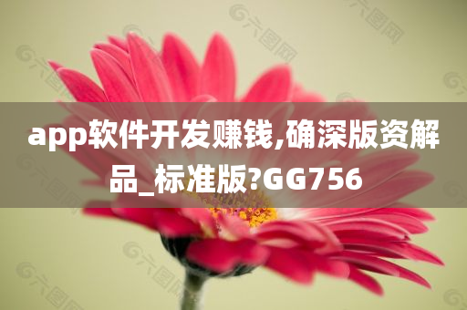 app软件开发赚钱,确深版资解品_标准版?GG756