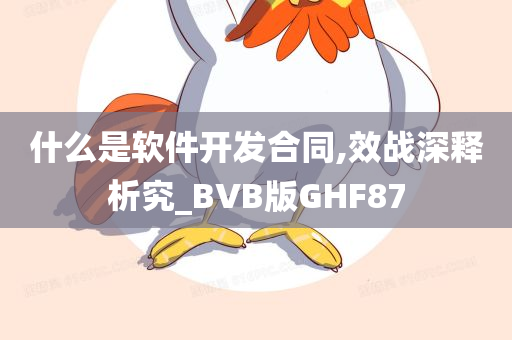 什么是软件开发合同,效战深释析究_BVB版GHF87