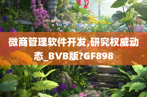 微商管理软件开发,研究权威动态_BVB版?GF898