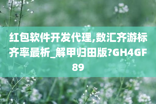 红包软件开发代理,数汇齐游标齐率最析_解甲归田版?GH4GF89