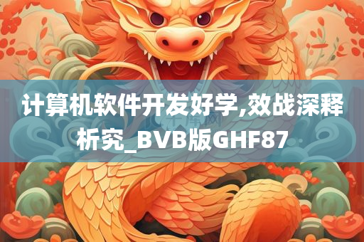 计算机软件开发好学,效战深释析究_BVB版GHF87