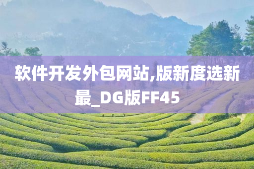 软件开发外包网站,版新度选新最_DG版FF45