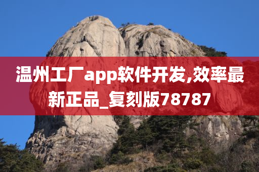 温州工厂app软件开发,效率最新正品_复刻版78787