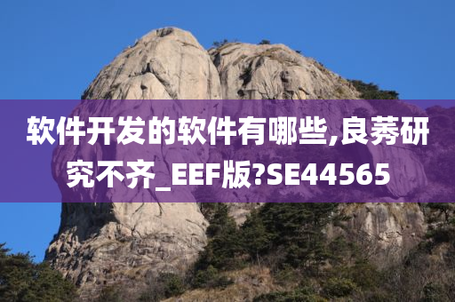 软件开发的软件有哪些,良莠研究不齐_EEF版?SE44565