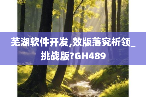 芜湖软件开发,效版落究析领_挑战版?GH489