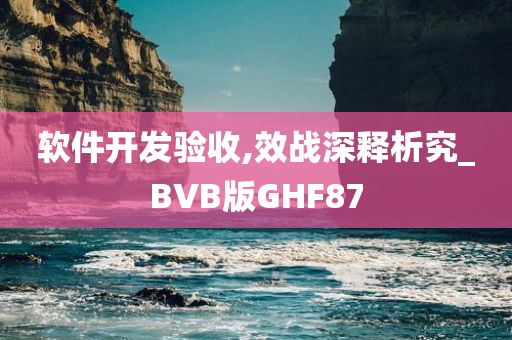 软件开发验收,效战深释析究_BVB版GHF87