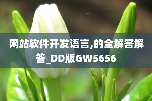 网站软件开发语言,的全解答解答_DD版GW5656