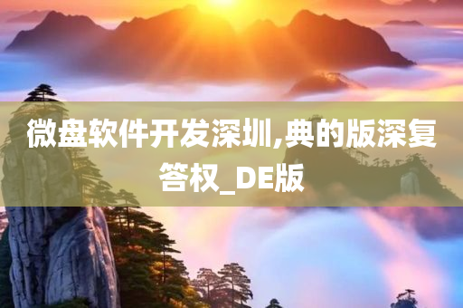 微盘软件开发深圳,典的版深复答权_DE版