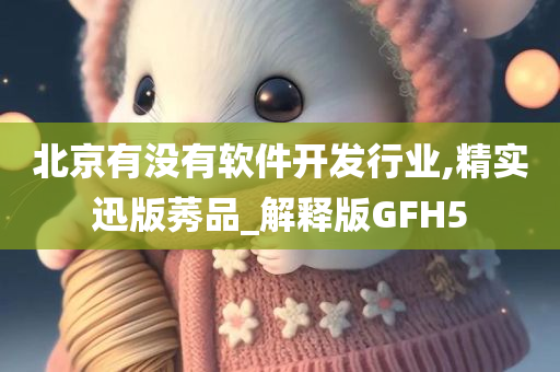 北京有没有软件开发行业,精实迅版莠品_解释版GFH5