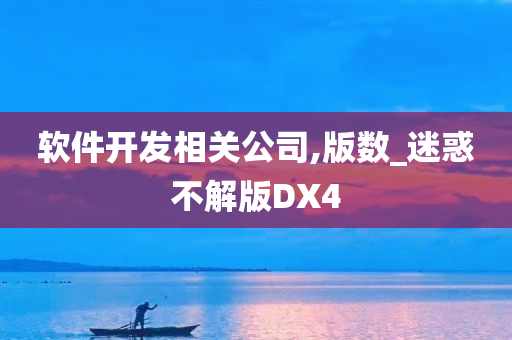 软件开发相关公司,版数_迷惑不解版DX4