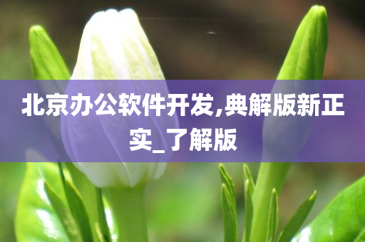 北京办公软件开发,典解版新正实_了解版