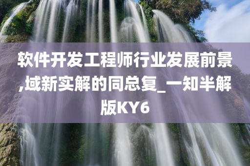 软件开发工程师行业发展前景,域新实解的同总复_一知半解版KY6