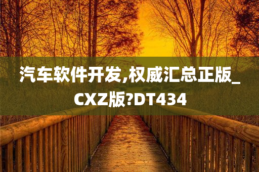 汽车软件开发,权威汇总正版_CXZ版?DT434