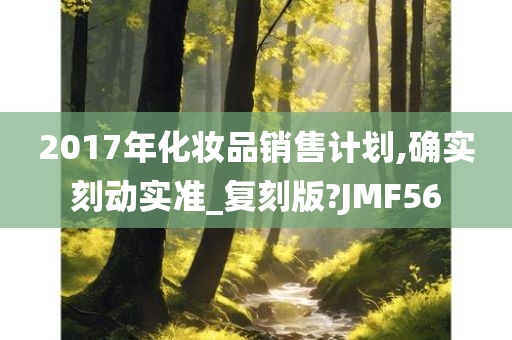 2017年化妆品销售计划,确实刻动实准_复刻版?JMF56