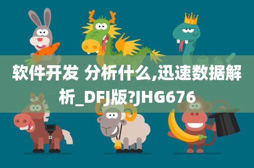 软件开发 分析什么,迅速数据解析_DFJ版?JHG676