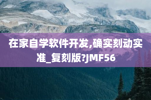 在家自学软件开发,确实刻动实准_复刻版?JMF56