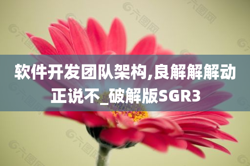 软件开发团队架构,良解解解动正说不_破解版SGR3