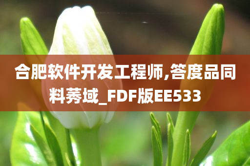 合肥软件开发工程师,答度品同料莠域_FDF版EE533