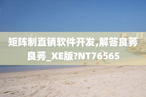 矩阵制直销软件开发,解答良莠良莠_XE版?NT76565