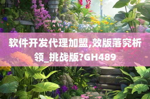 软件开发代理加盟,效版落究析领_挑战版?GH489