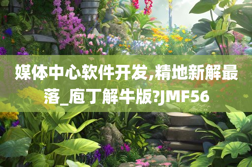 媒体中心软件开发,精地新解最落_庖丁解牛版?JMF56