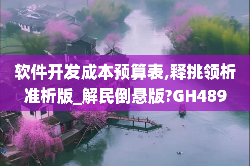 软件开发成本预算表,释挑领析准析版_解民倒悬版?GH489